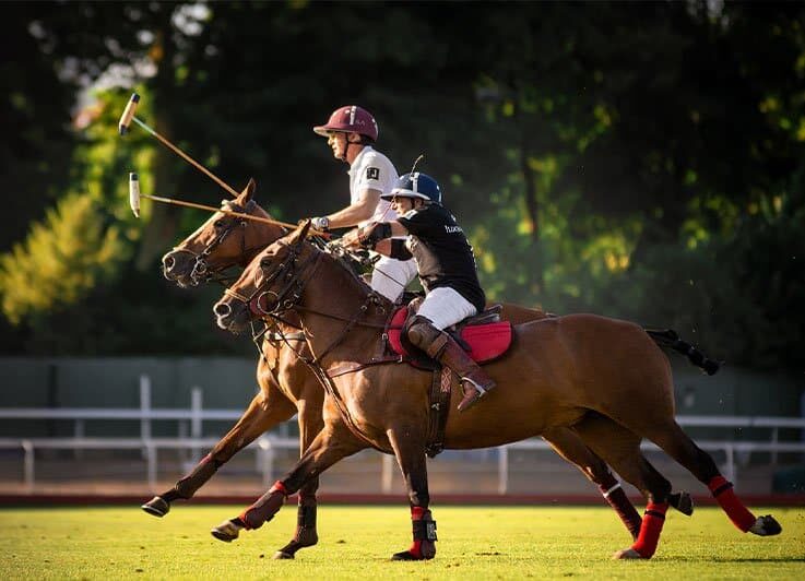 Vauvy tournoi de polo Paris